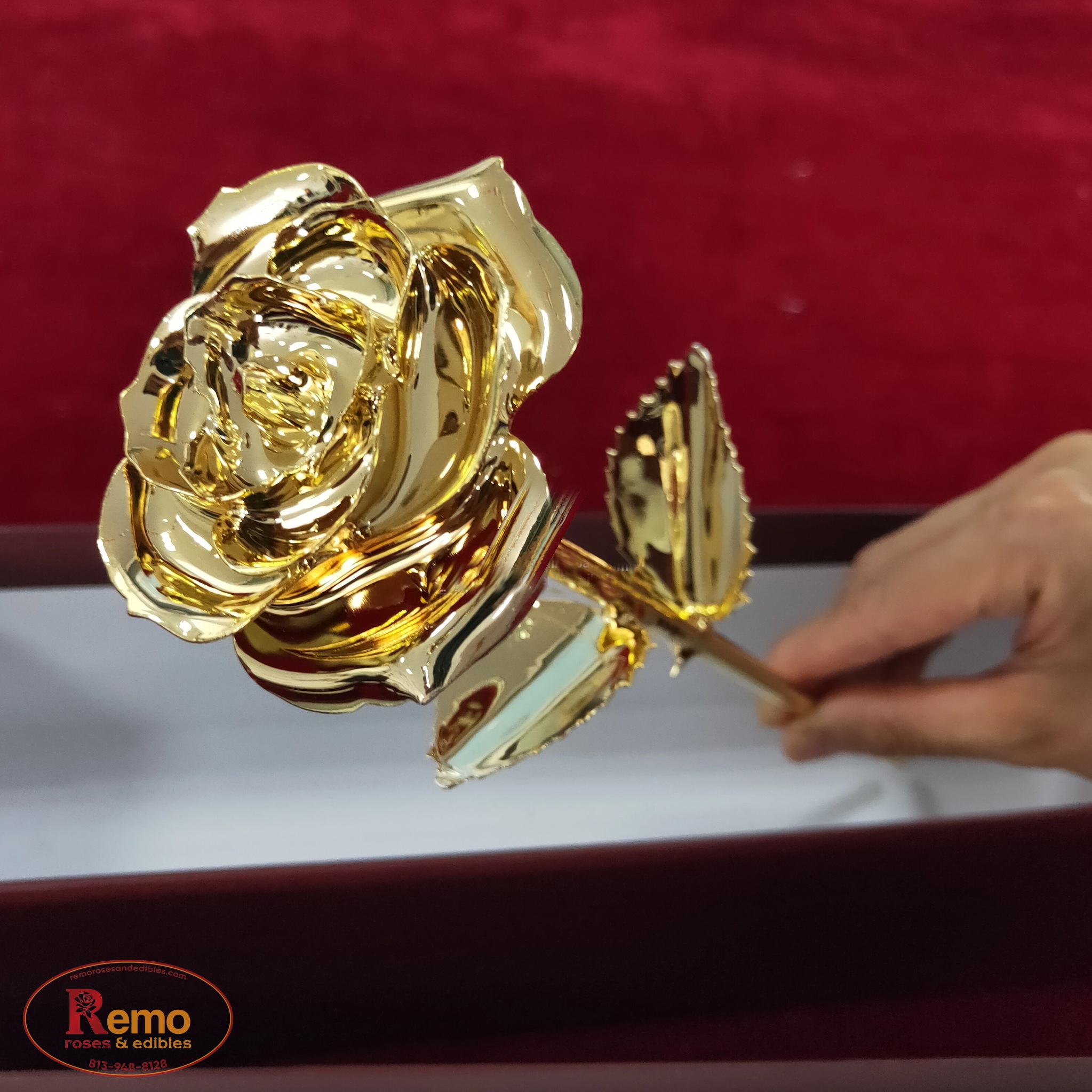 24K GOLD ROSES Remo Roses and Edibles